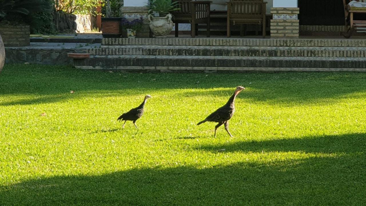 アルハラケ La Casa Del Torreon Bed & Breakfast エクステリア 写真